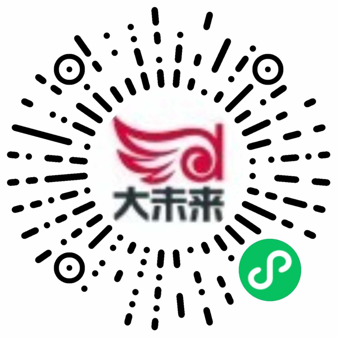 大未来小程序码